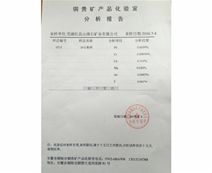 檢測報告